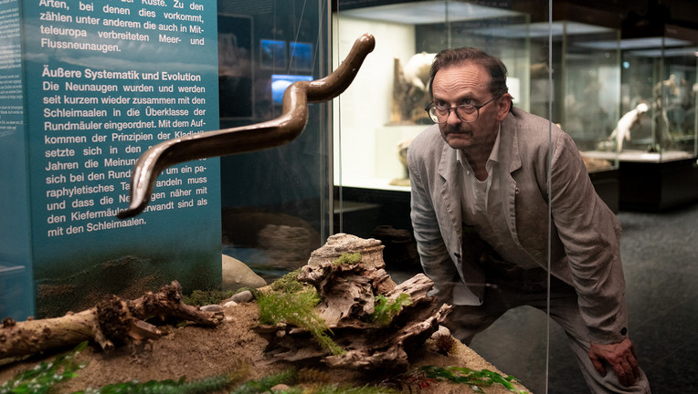 Adam Danowski (Milan Peschel) schaut sich im Naturkundemuseum um. 
ZDF/Georges Pauly