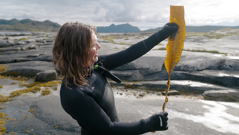 Auf den Lofoten erntet Angelita Erikson verschiedenste essbare Algen, die hier wachsen, ganz ohne Pestizide oder Dünger.
ZDF/Jürgen Heck