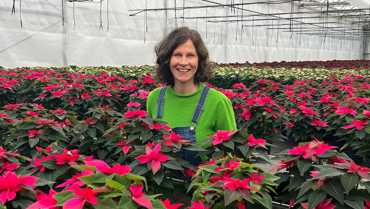 30 Millionen Weihnachtssterne kaufen die Deutschen jedes Jahr. Doch wie sauber ist die empfindliche Pflanze? Sabine Platz geht dem Weihnachtswunder auf den Grund.

Copyright: ZDF/Anna-Maria Bolenius