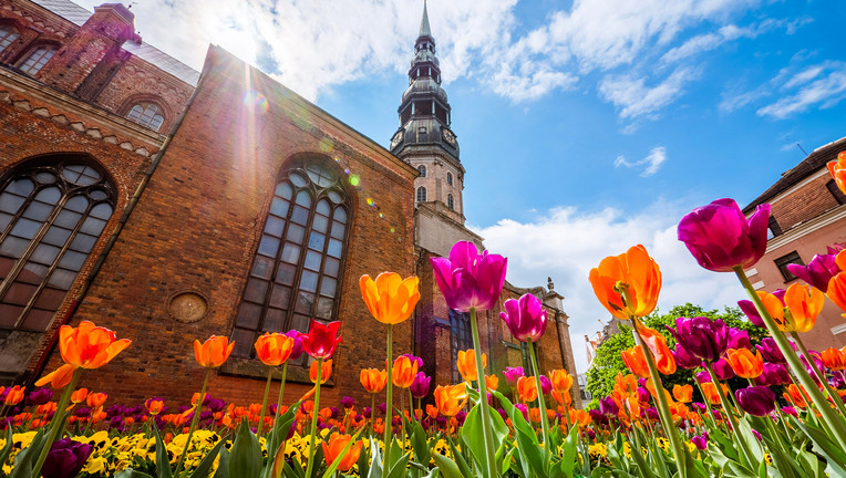 Symbolbild
ZDF/DaSch/Adobe Stock