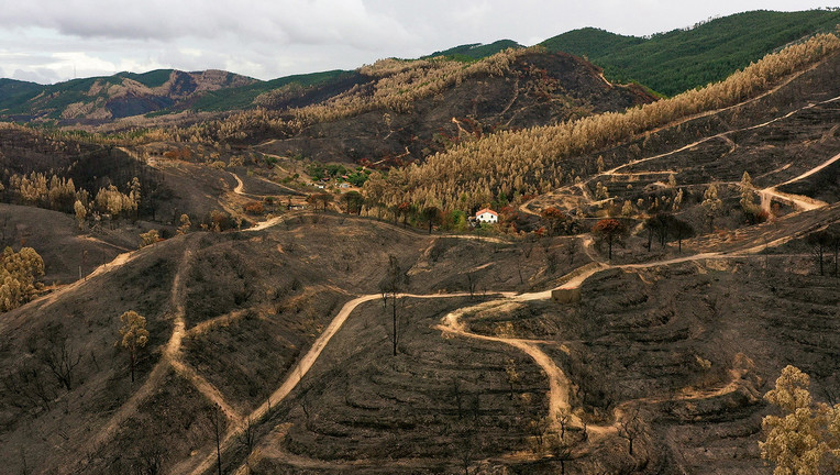 planet e.: Die portugiesische Region Saboia nach einem Waldbrand. Copyright: ZDF/Frank Schunich