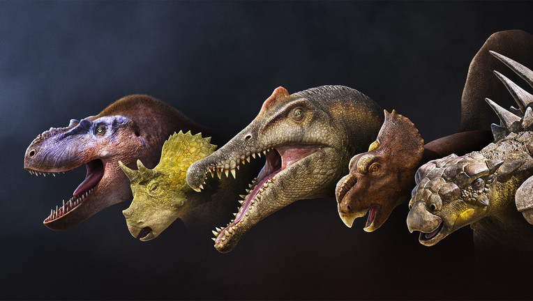 TerraX: Unter Dinos - Geheimnisse der Urzeit
ZDF/ BBC