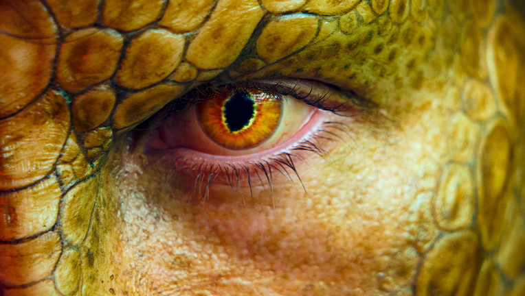 Copyright: 
ZDF / Jens Koch [M] Serviceplan Silver Grapes